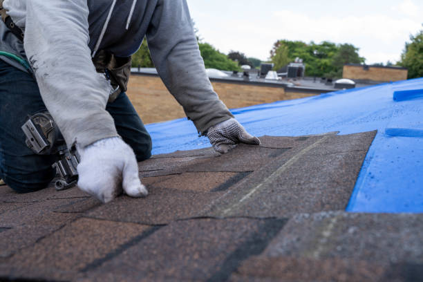 Best New Roof Installation  in Clendenin, WV