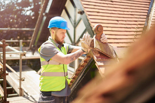 Best Roof Repair Services  in Clendenin, WV