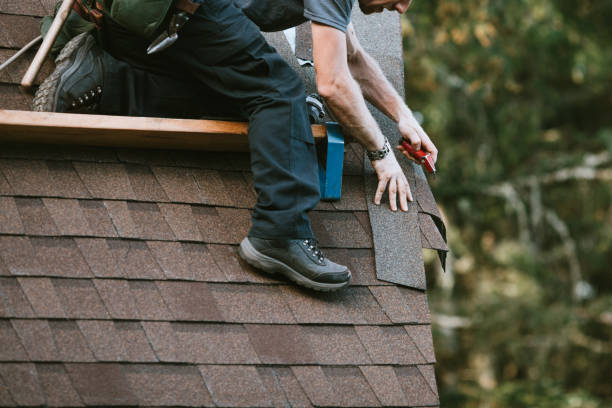 Best Local Roofing Companies  in Clendenin, WV